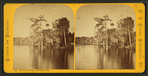 View from Wharf, Enterprise, Florida.