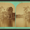 View from Wharf, Enterprise, Florida.