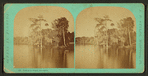 View from Wharf, Enterprise, Florida.