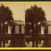 Sulphur springs at Dr. Bary's residence, Enterprise, Florida.