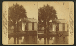Sulphur springs at Dr. Bary's residence, Enterprise, Florida.