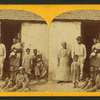 Negro quarters, Plantation, Fort George Island, Florida.
