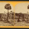 Farming, Fort George Island.