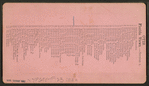 Palmetto Avenue, Fort George, Fla.