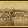 View of tourists in a mule-drawn cart.