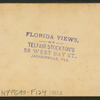 Palmettos, near Jacksonville, Fla.