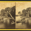 Palmettos, near Jacksonville, Fla.