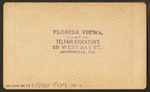 Street view, Jacksonville, Fla.