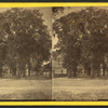 Street view, Jacksonville, Fla.
