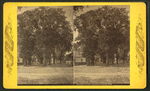 Street view, Jacksonville, Fla.