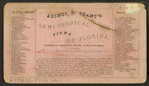 Bay Street, West, Jacksonville, Fla.