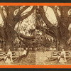 The Largest Oak in Florida, on the Grounds of Mrs. Mitchell, near Jacksonville, Fla.