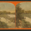 Governor's Creek, Magnolia.