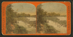 Governor's Creek, Magnolia.