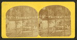 Women enjoying the natural springs, Green Cove Springs, Fla.
