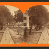 View at Magnolia, Fla.