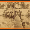 Ladies' Bath at Green Cove Springs
