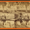 Tourists gathered near the springs.