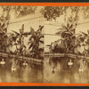 Boys in the Bath at Green Cove Springs, on the St. John's River, Fla.