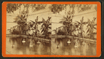 Boys in the Bath at Green Cove Springs, on the St. John's River, Fla.