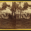 Steamer Lizzie Baker at G. Cove.