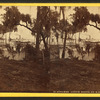 Steamer Lizzie Baker at G. Cove.