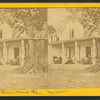 Mrs. H. B. Stowe's House, Fla. Mandarin.