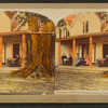 Residence of Harriet Beecher Stowe, Florida.
