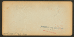Date Palm, Estate of M. J. Brown, Esq.