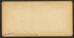 Date Palm, Residence of M.J. Brown, Esq. A.