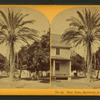 Date Palm, Residence of M.J. Brown, Esq. A.