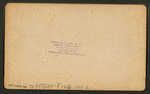 Residence of Prof. & Mrs. H. B. Stowe, Mandarin, Fla.