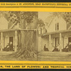 Mrs. H. B. Stowe's Place at Mandarin, on St. Johns River.