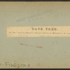 Date tree, on Mrs. Harriet Beecher Stowe's Place, St. John's River.