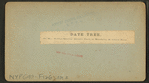 Date tree, on Mrs. Harriet Beecher Stowe's Place, St. John's River.