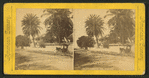 Caroline St., Key West, Fla.