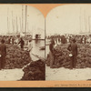 Sponge Market, Key West Harbor, Fla.