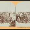 Sponge Market, Key West Harbor, Fla.