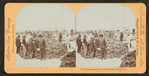 Sponge Market, Key West Harbor, Fla.