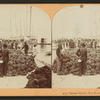 Sponge Market, Key West Harbor, Fla.
