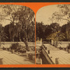 Mr. Hart's orange grove, Palatka.