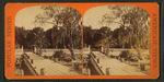 Mr. Hart's orange grove, Palatka.