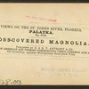 Moss-covered magnolia, Palatka.