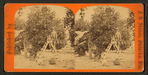 Men working at the orange grove.