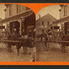 Ox team, Palatka, Florida.