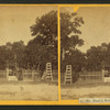 Mr. Hart's residence, Palatka, Fla.