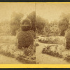 Mr. Hart's garden, Palatka, Florida.