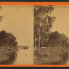 View of cattle on the river bank.