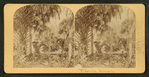 View of palm trees.