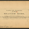 Spanish Moss.